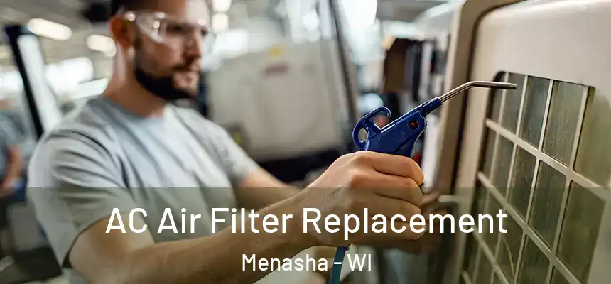  AC Air Filter Replacement Menasha - WI