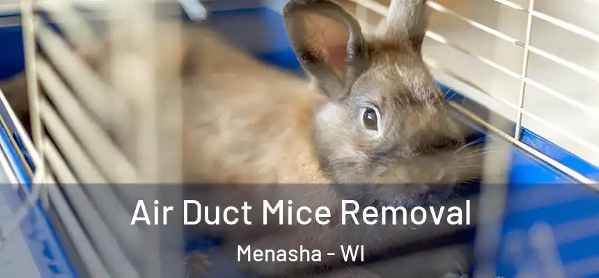  Air Duct Mice Removal Menasha - WI