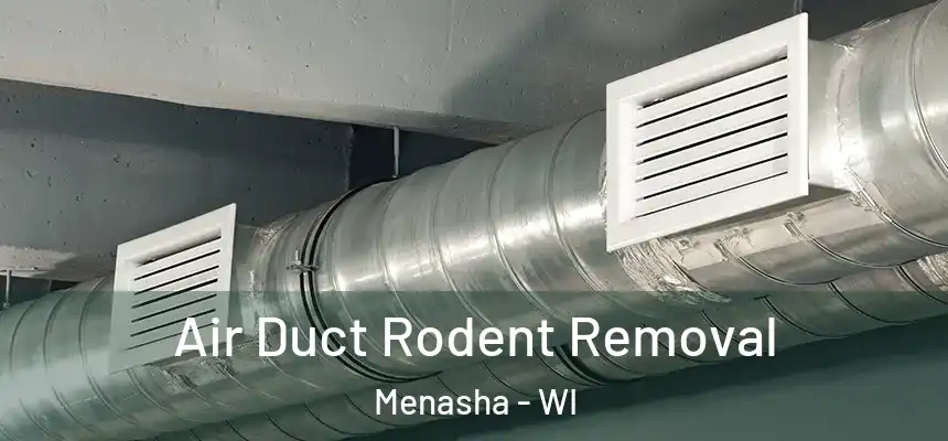  Air Duct Rodent Removal Menasha - WI
