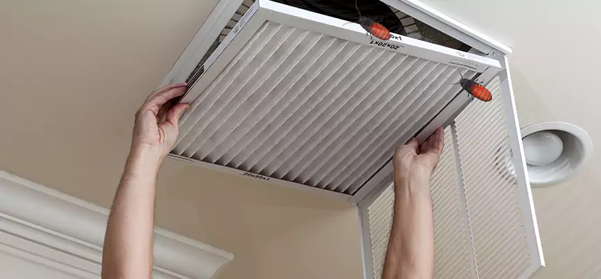 Preventive Cockroach-Proofing for Ducts in Menasha