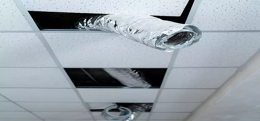 Our Air Duct Pet Hair Removal Services in Menasha, WI