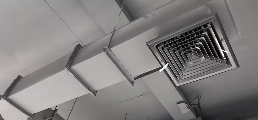 Our Pest Removal From Ducts Services in Menasha, WI