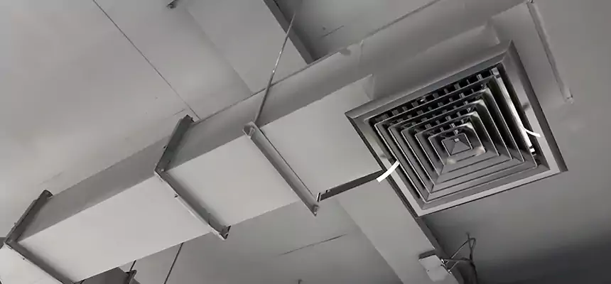 Our Rodent Droppings In Vents Services in Menasha, WI