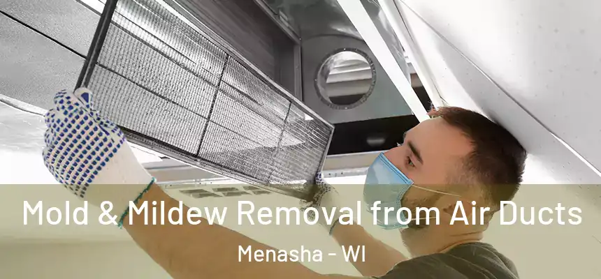  Mold & Mildew Removal from Air Ducts Menasha - WI
