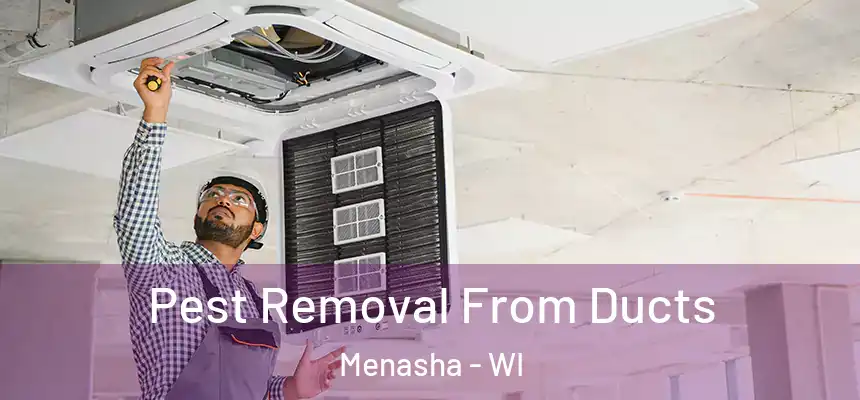  Pest Removal From Ducts Menasha - WI