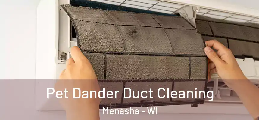  Pet Dander Duct Cleaning Menasha - WI