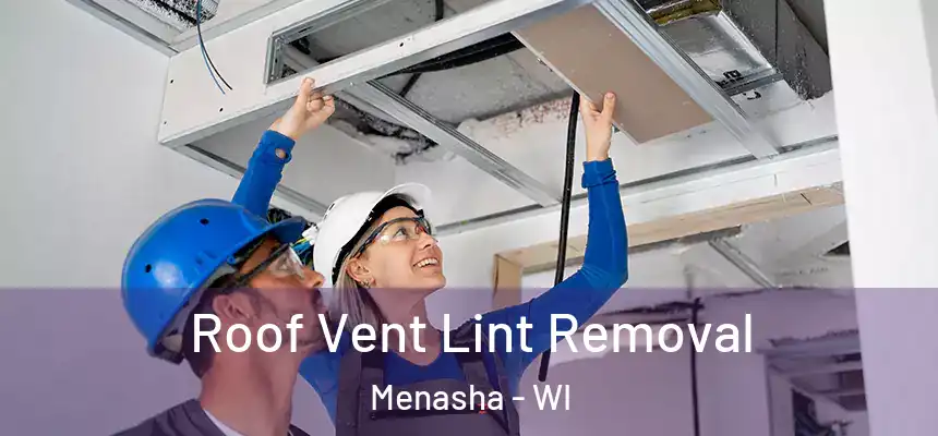  Roof Vent Lint Removal Menasha - WI