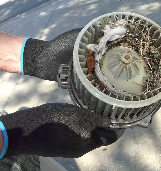 About Air Duct Rat Removal in Menasha, WI