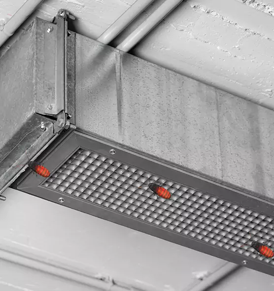 Affordable Insect Removal from Air Ducts in Menasha, WI