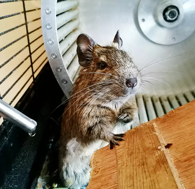 Why Homeowners & Businesses Trust Us Menasha, WI?